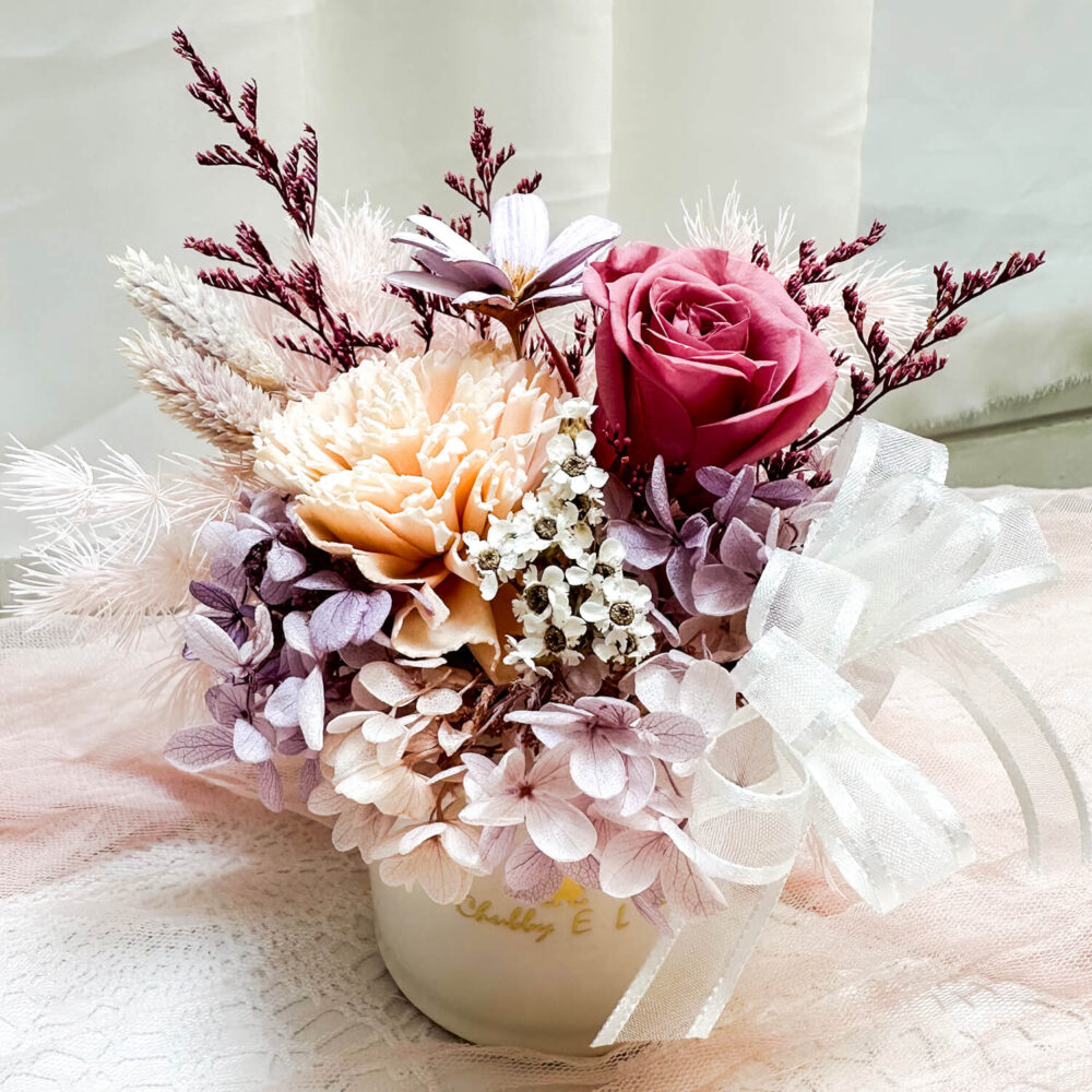 布拉尼 迷你永生盆花