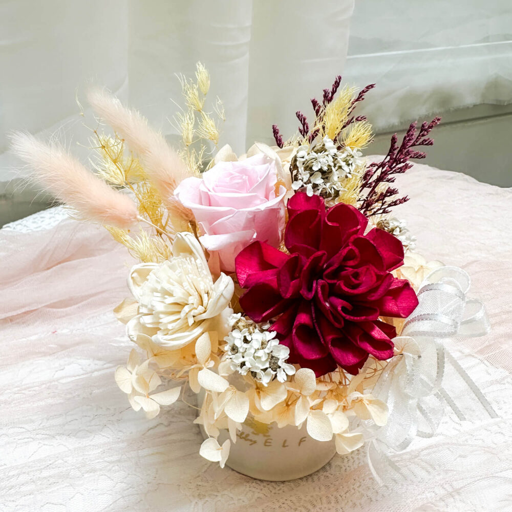 布拉尼 迷你永生盆花