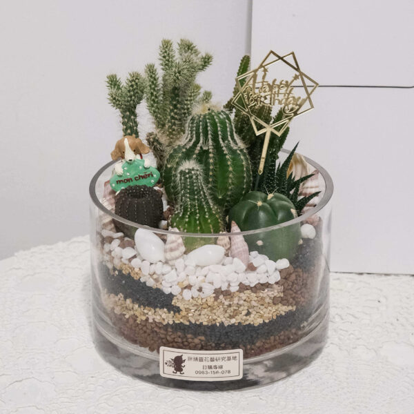 仙人多肉組盆